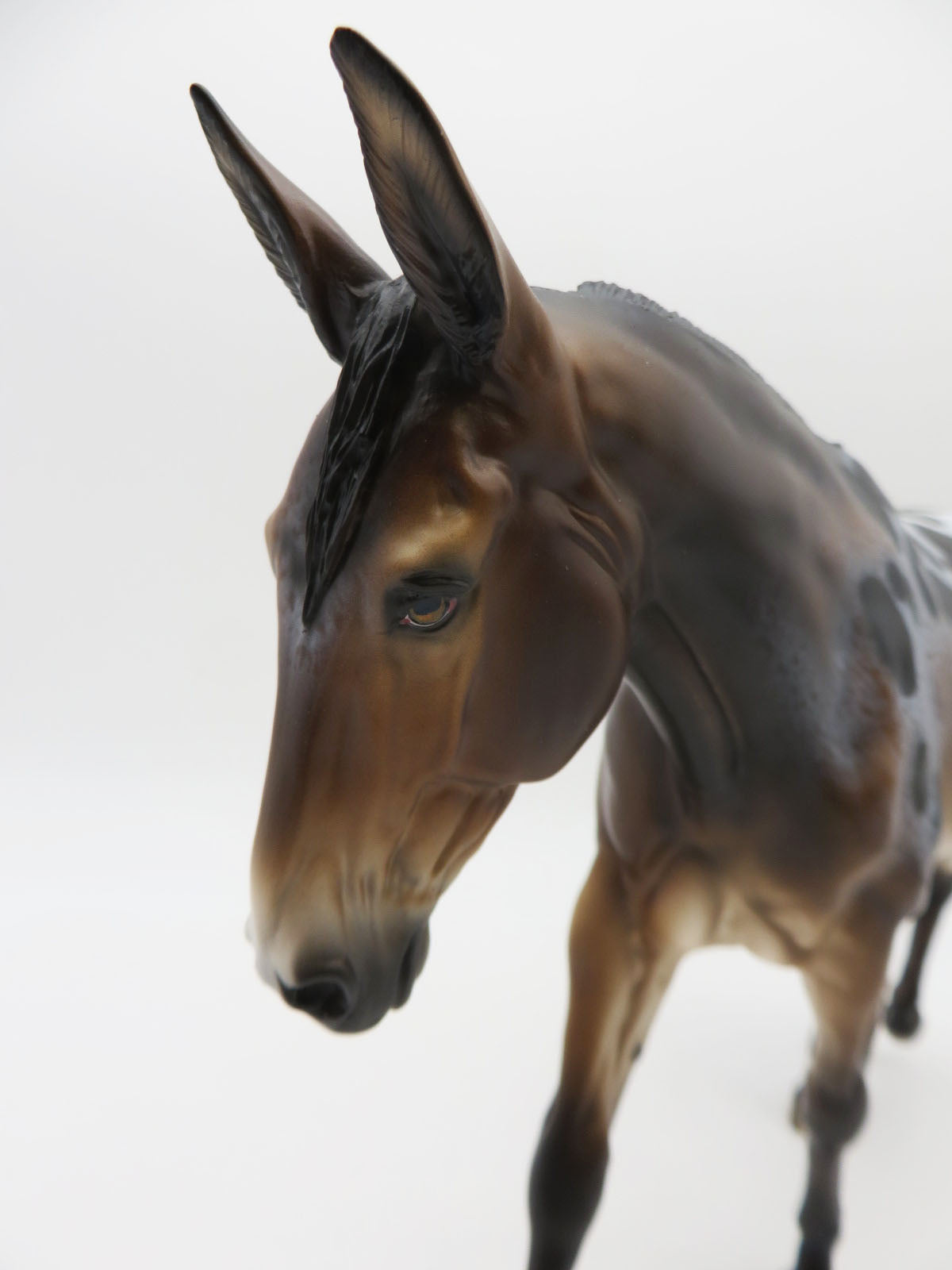 Party Girl - OOAK - Bay Appaloosa Mule by Sheryl Leisure - Best Offers 1/23/23