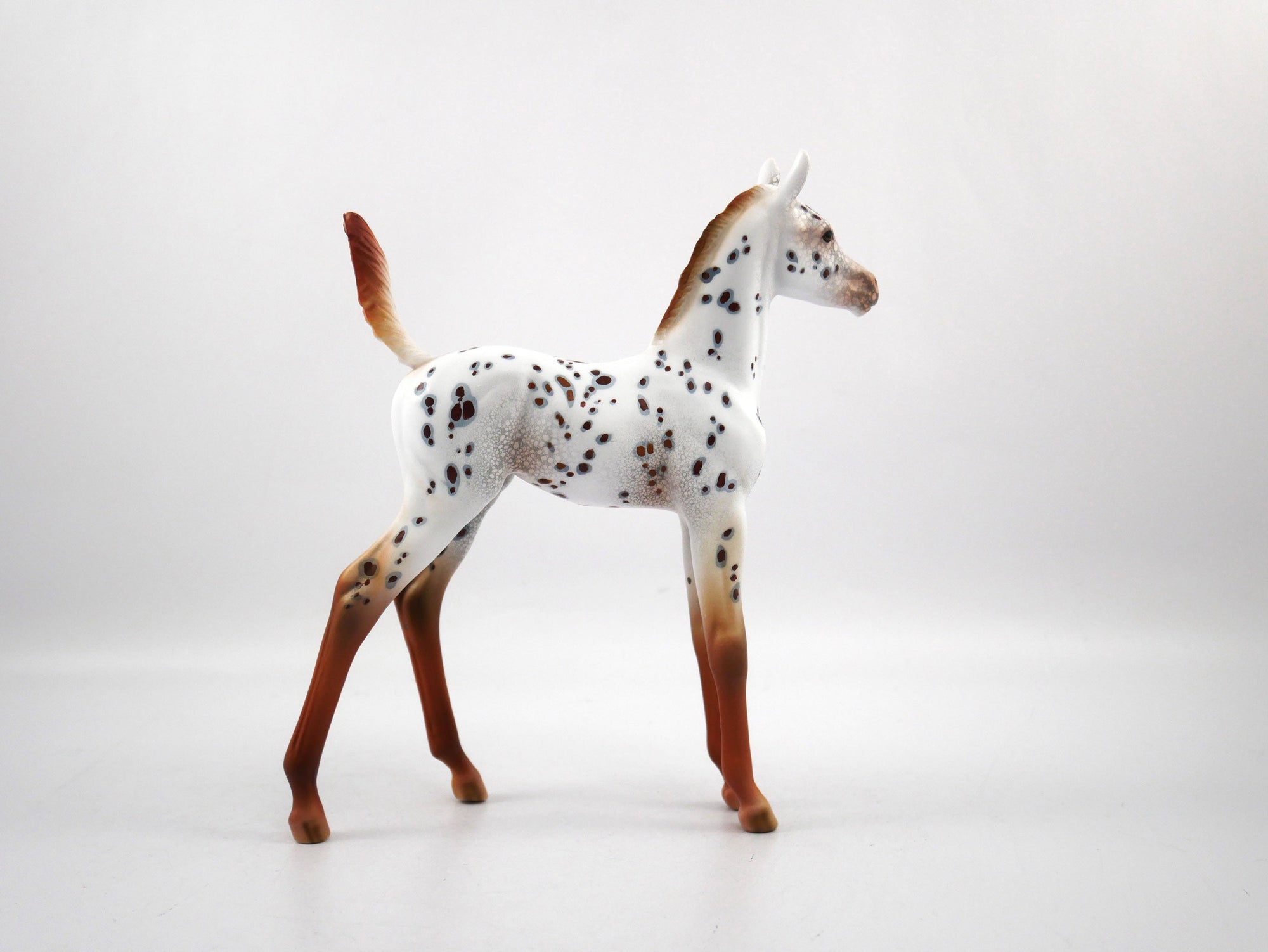 Pass It To Me-OOAK Loud Appaloosa Foal SB 21