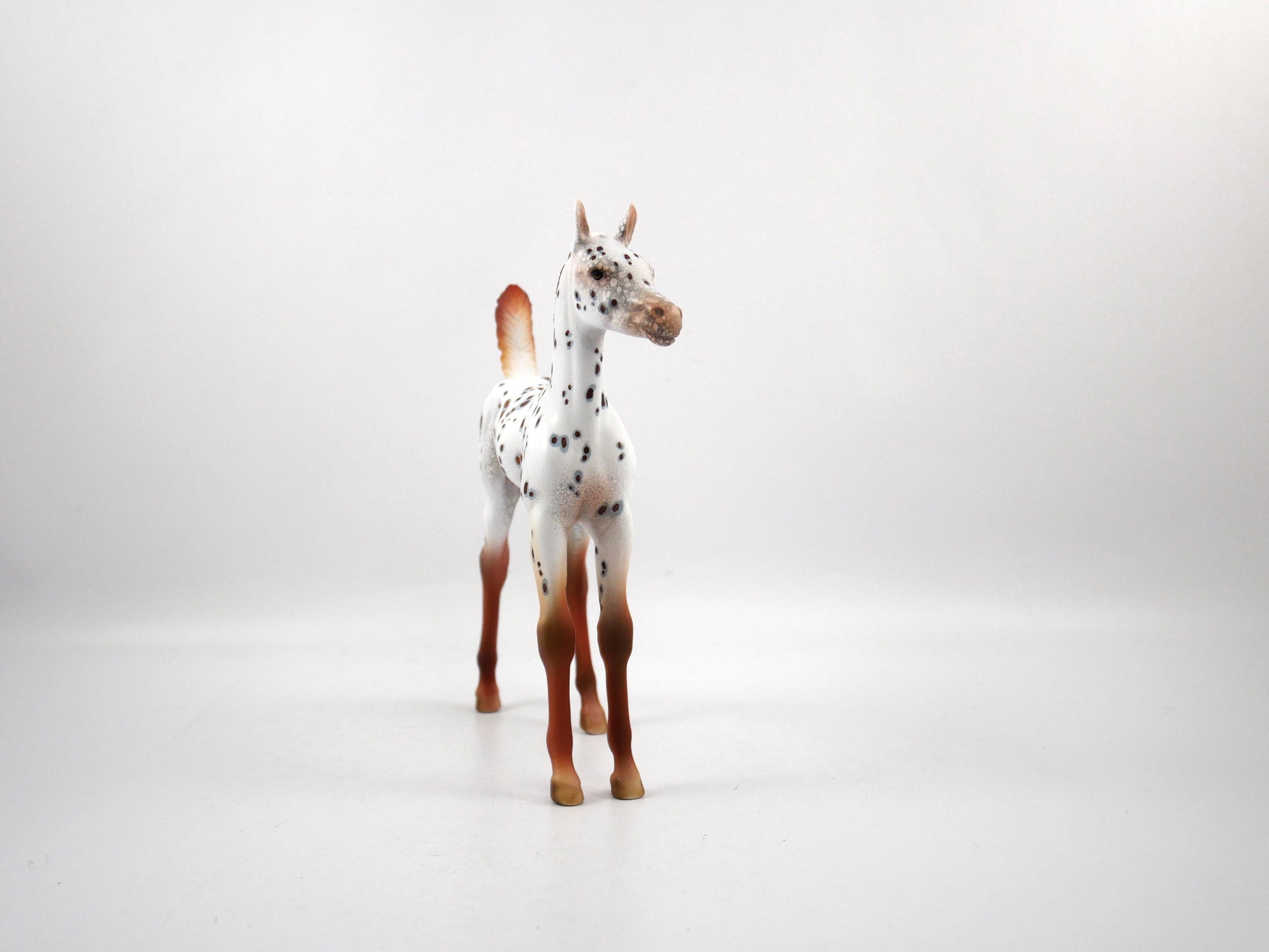 Pass It To Me-OOAK Loud Appaloosa Foal SB 21