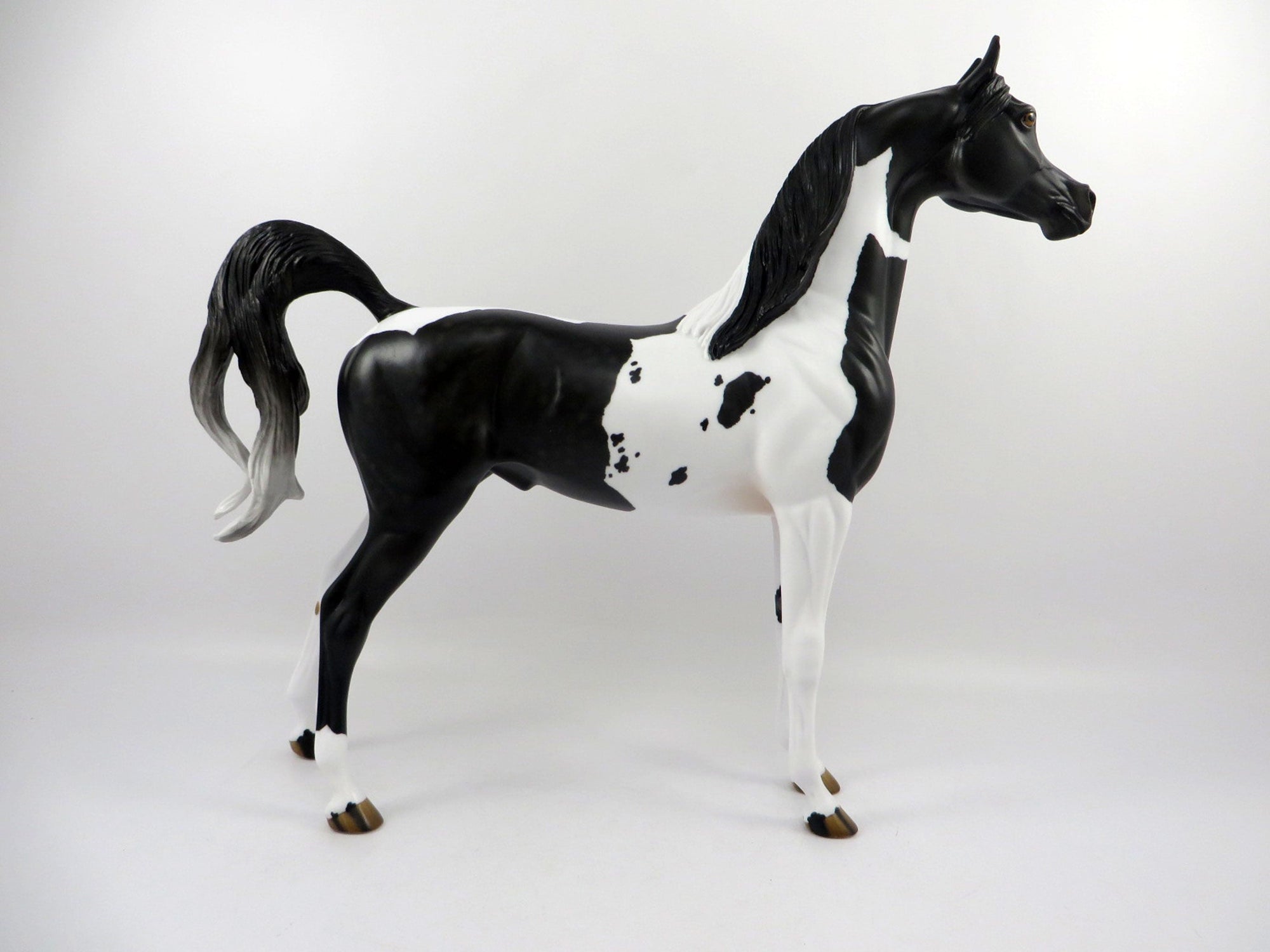Passage Dapple Black Paint Arabian Painted By Audrey Dixon 3/12/21