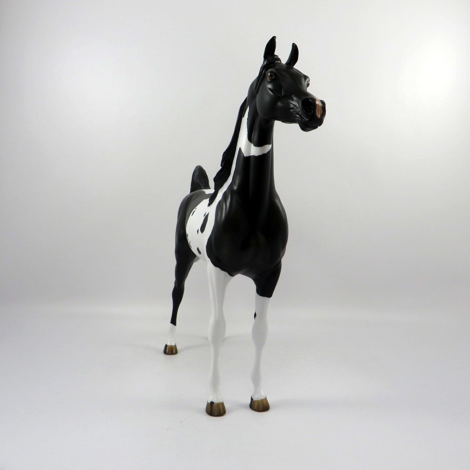 Passage Dapple Black Paint Arabian Painted By Audrey Dixon 3/12/21
