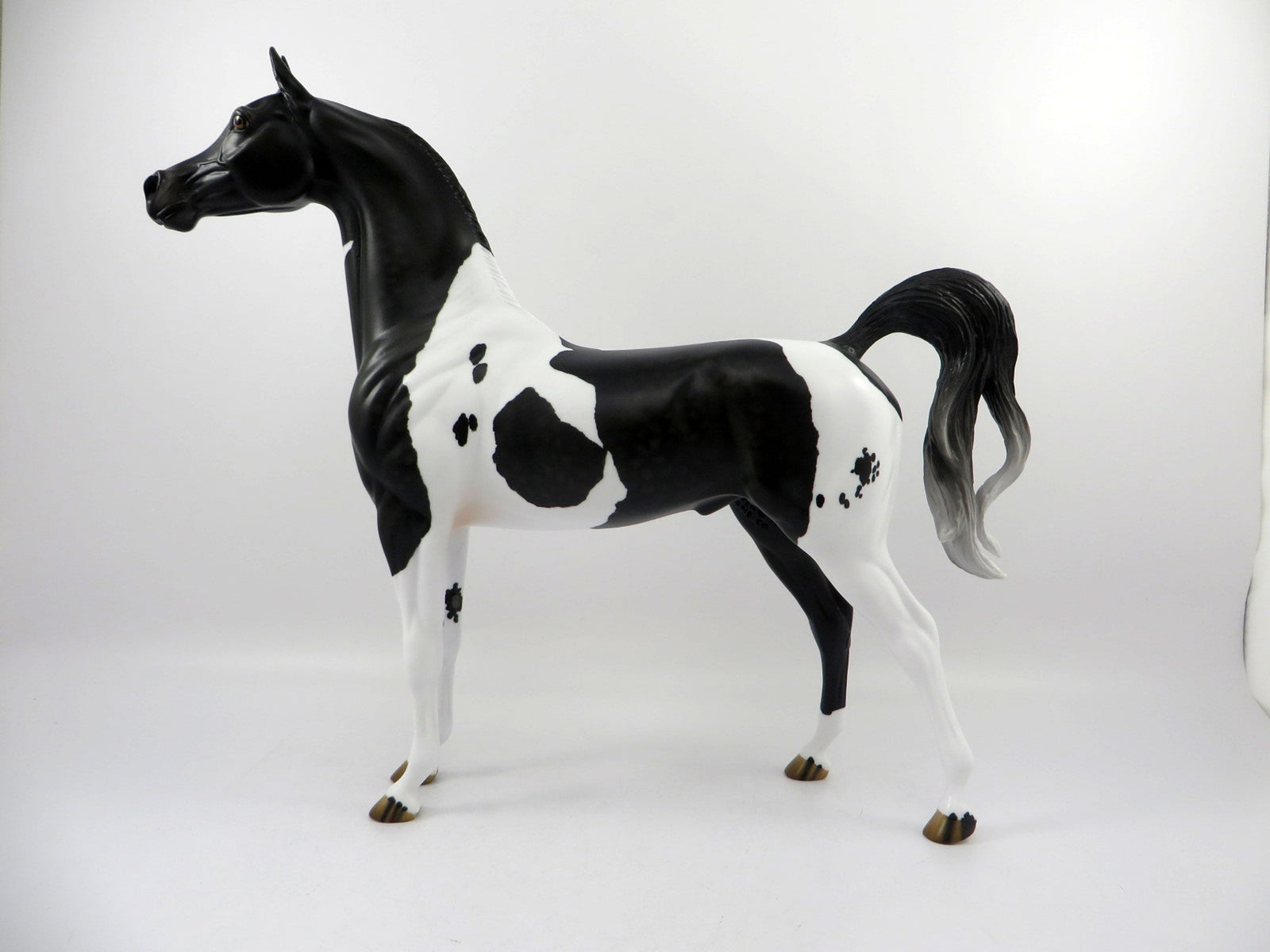 Passage Dapple Black Paint Arabian Painted By Audrey Dixon 3/12/21