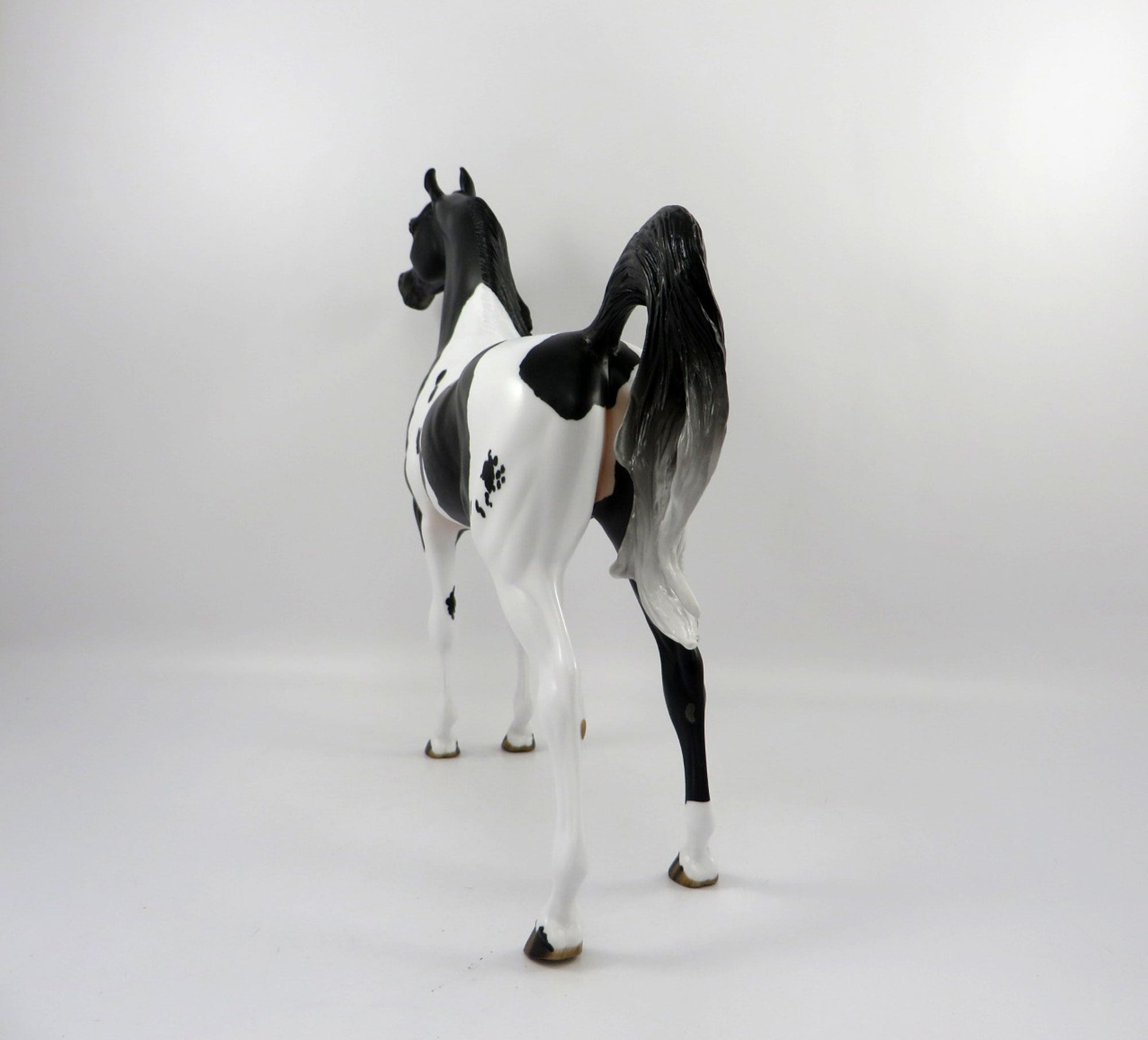 Passage Dapple Black Paint Arabian Painted By Audrey Dixon 3/12/21