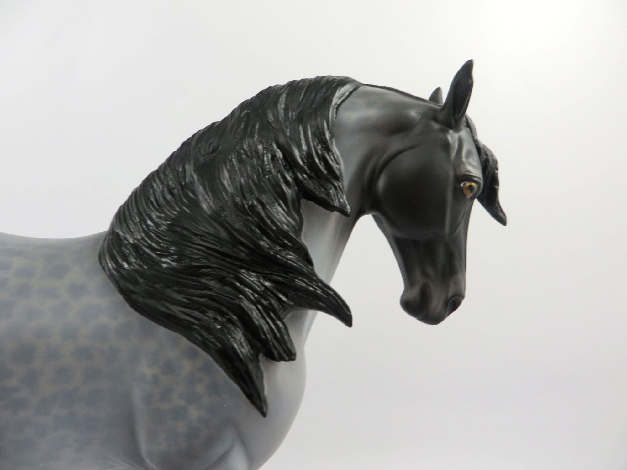 Passport-OOAK Reversed Dapple Roan Andalusian Painted By Audrey Dixon 3/12/21