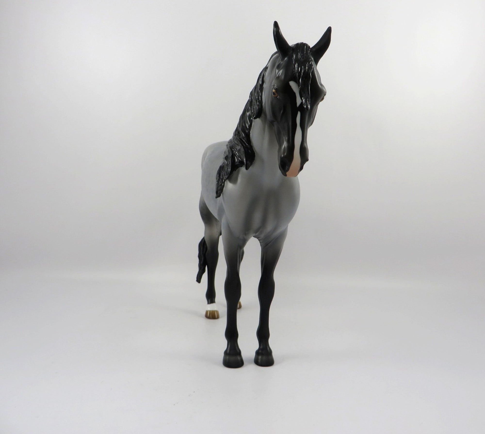 Passport-OOAK Reversed Dapple Roan Andalusian Painted By Audrey Dixon 3/12/21