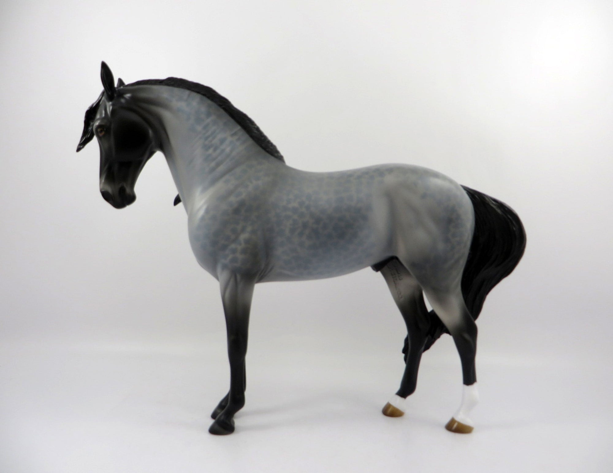 Passport-OOAK Reversed Dapple Roan Andalusian Painted By Audrey Dixon 3/12/21