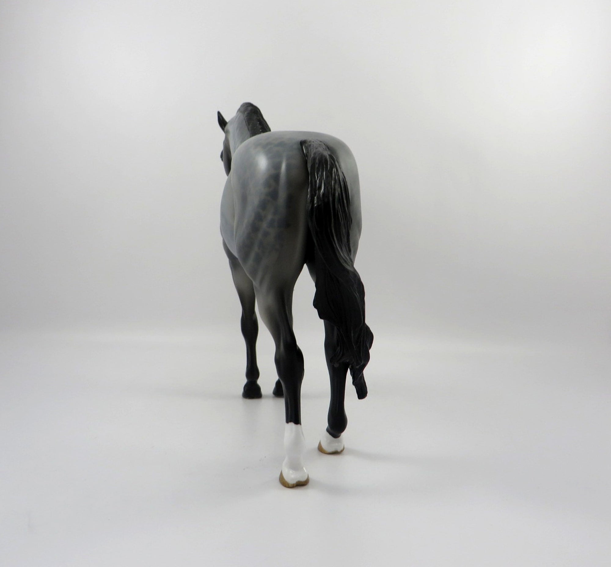 Passport-OOAK Reversed Dapple Roan Andalusian Painted By Audrey Dixon 3/12/21