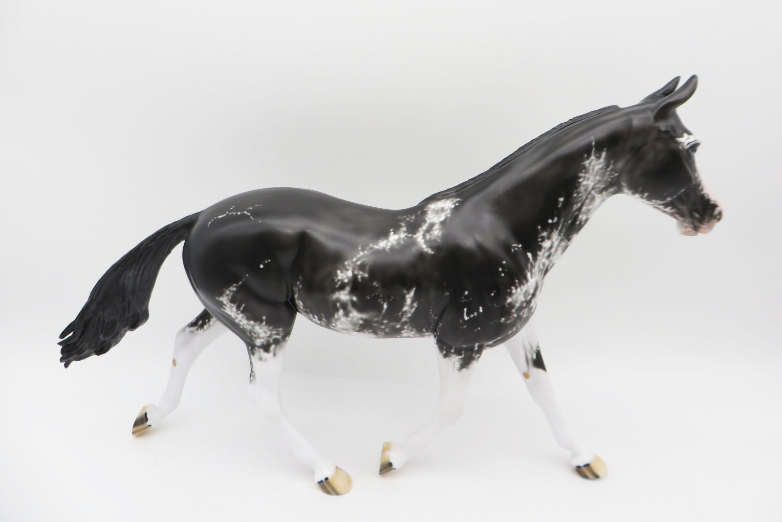 Pearla - OOAK - Black Sabino Palouse by Dawn Quick - Best Offers 1/23/23