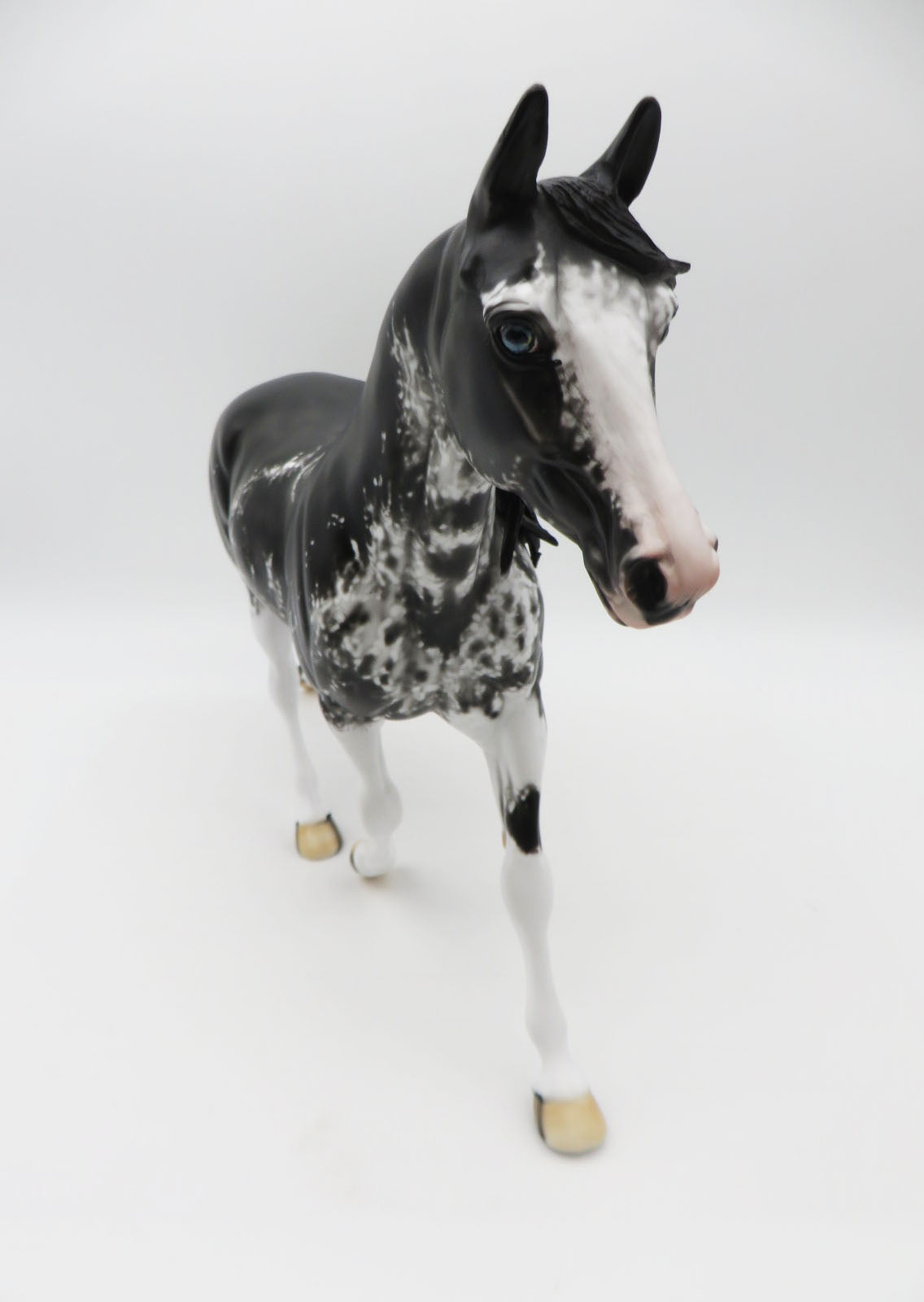 Pearla - OOAK - Black Sabino Palouse by Dawn Quick - Best Offers 1/23/23