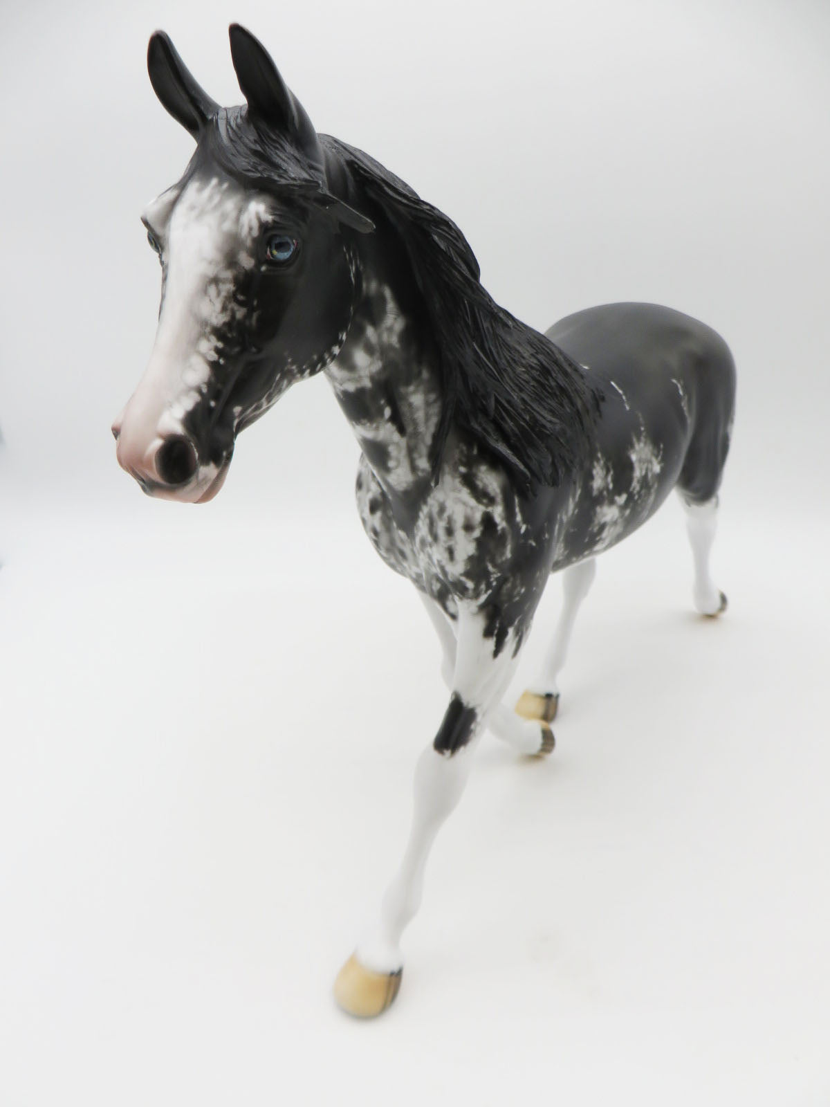 Pearla - OOAK - Black Sabino Palouse by Dawn Quick - Best Offers 1/23/23