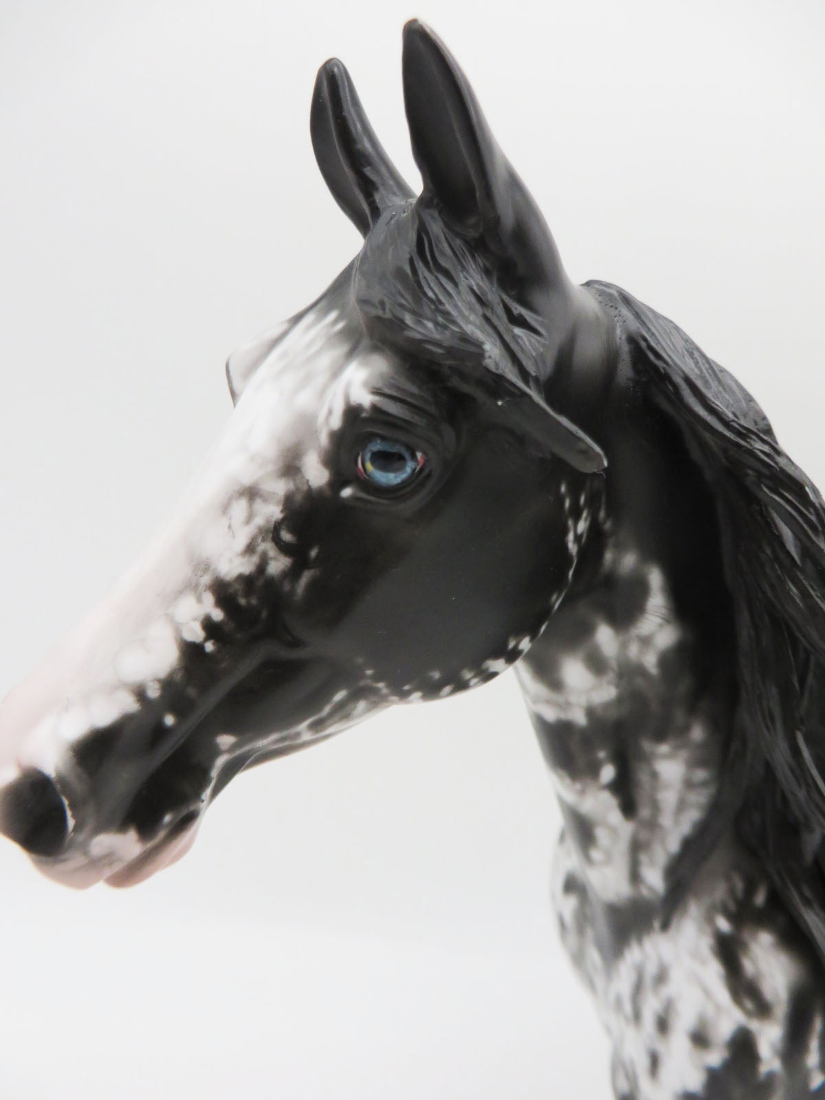 Pearla - OOAK - Black Sabino Palouse by Dawn Quick - Best Offers 1/23/23