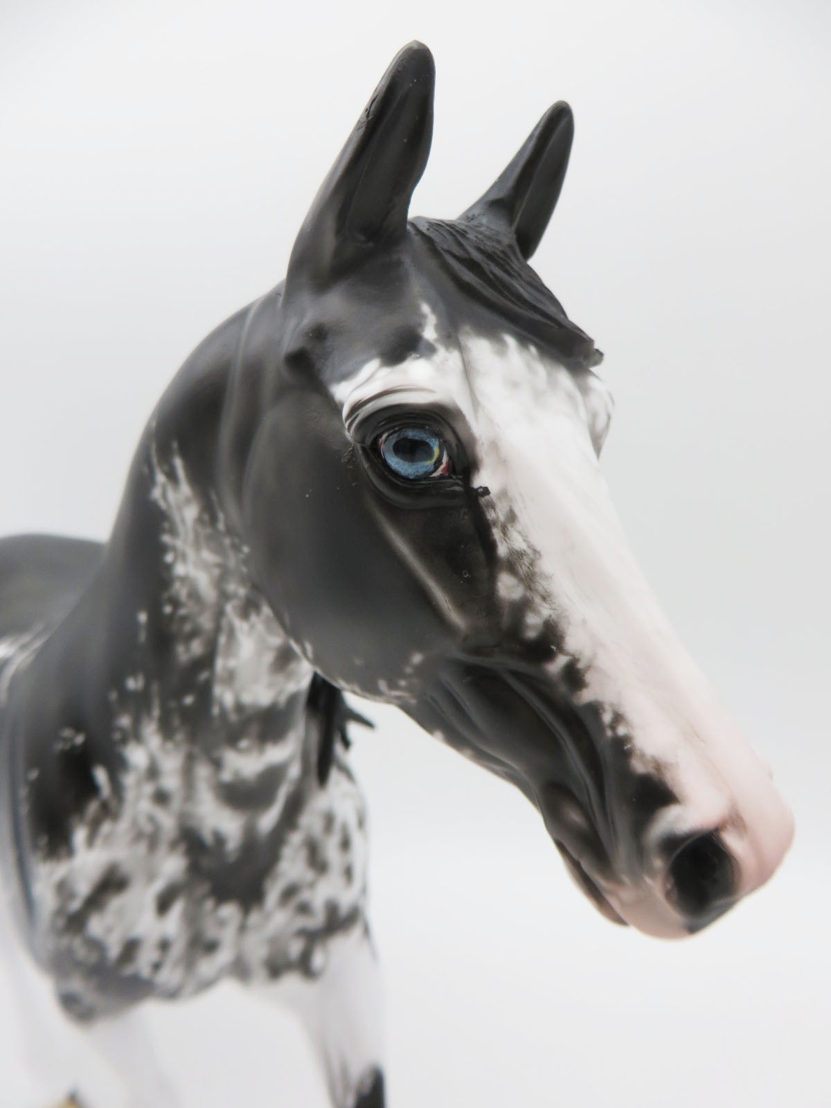 Pearla - OOAK - Black Sabino Palouse by Dawn Quick - Best Offers 1/23/23