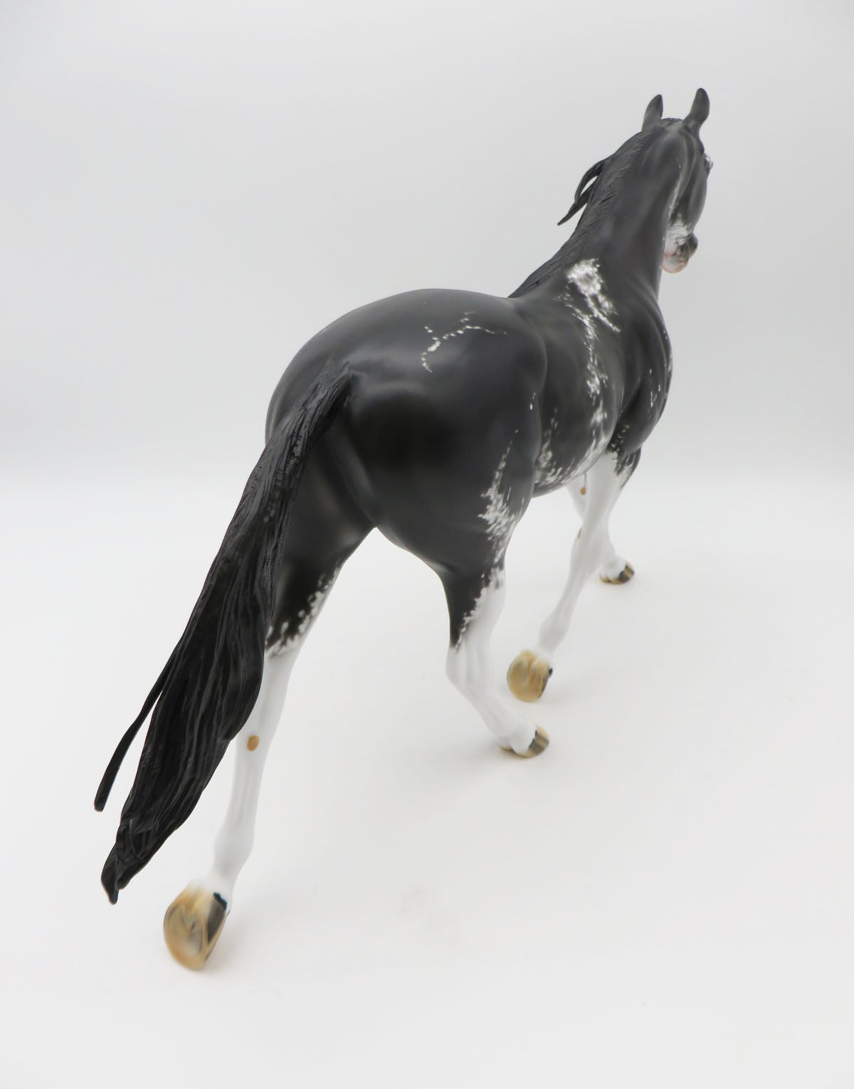 Pearla - OOAK - Black Sabino Palouse by Dawn Quick - Best Offers 1/23/23