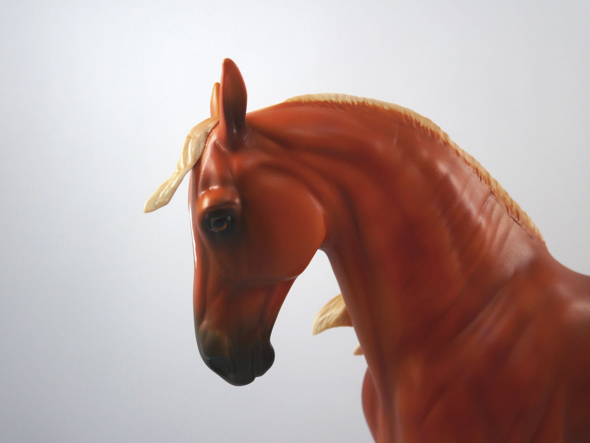 Penalty Call Dapple Chestnut  Andalusian  SB21