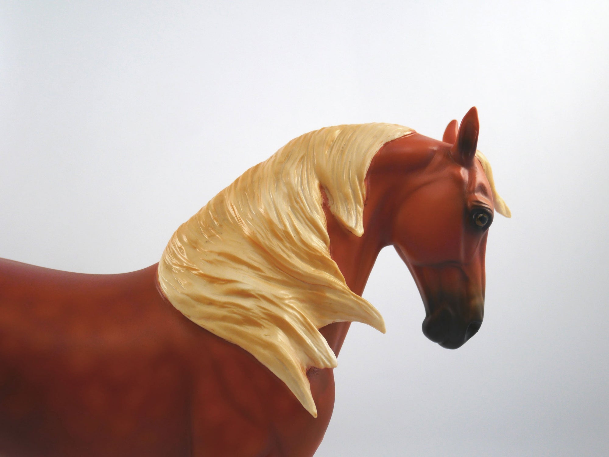 Penalty Call Dapple Chestnut  Andalusian  SB21