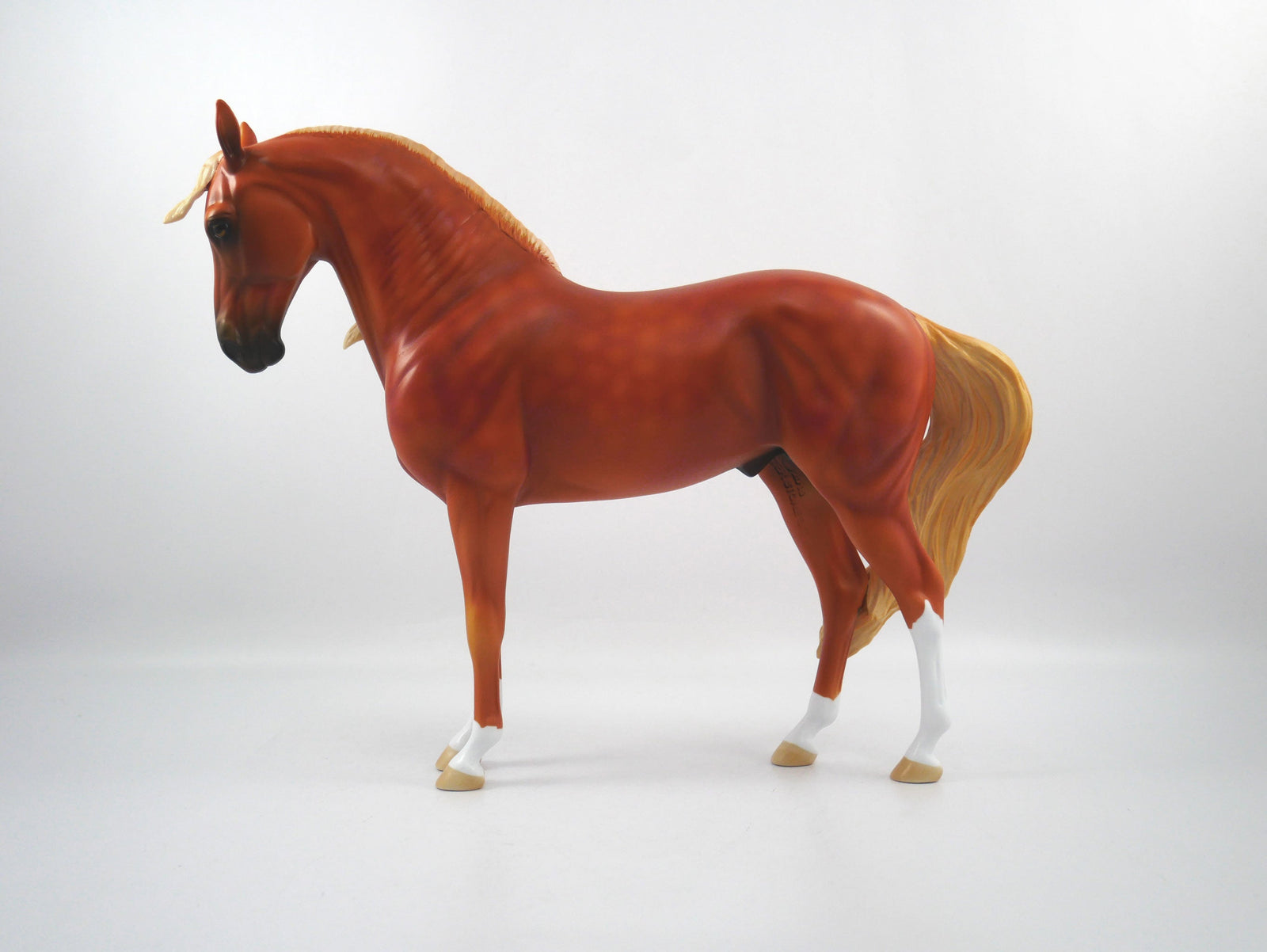 Penalty Call Dapple Chestnut  Andalusian  SB21