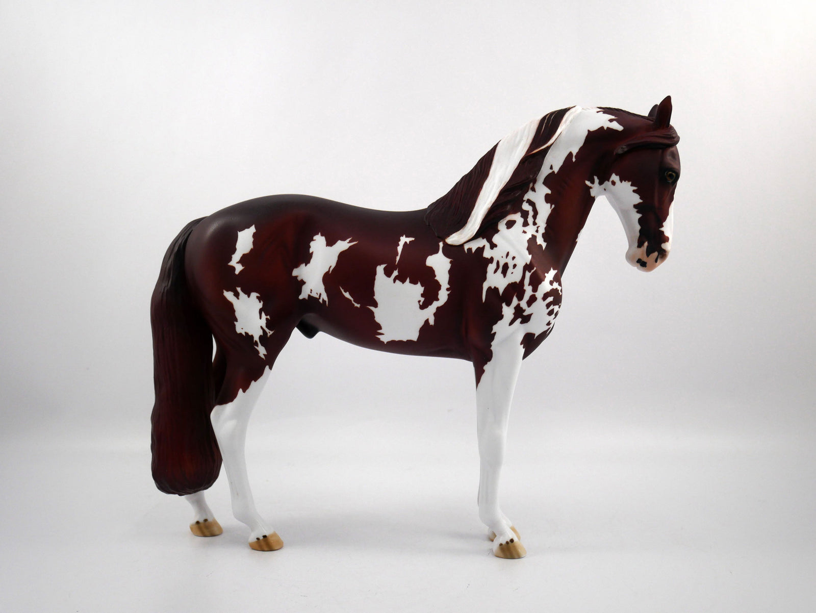 Penalty-OOAK Chestnut Paint  Andalusian SB 21