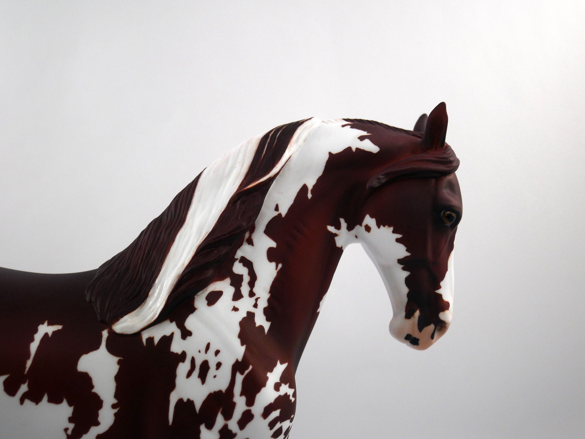 Penalty-OOAK Chestnut Paint  Andalusian SB 21