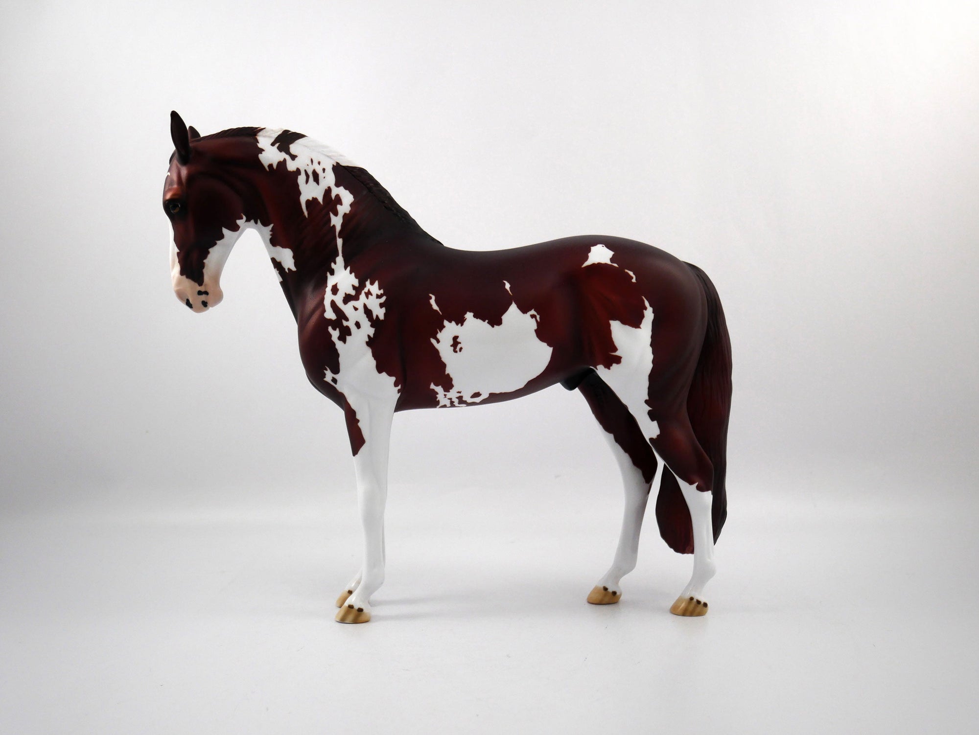 Penalty-OOAK Chestnut Paint  Andalusian SB 21