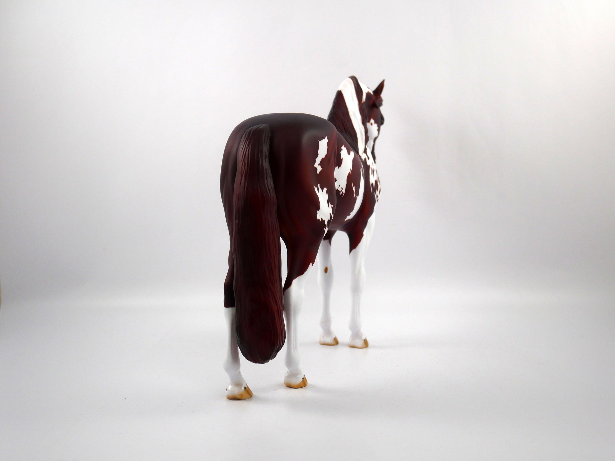 Penalty-OOAK Chestnut Paint  Andalusian SB 21