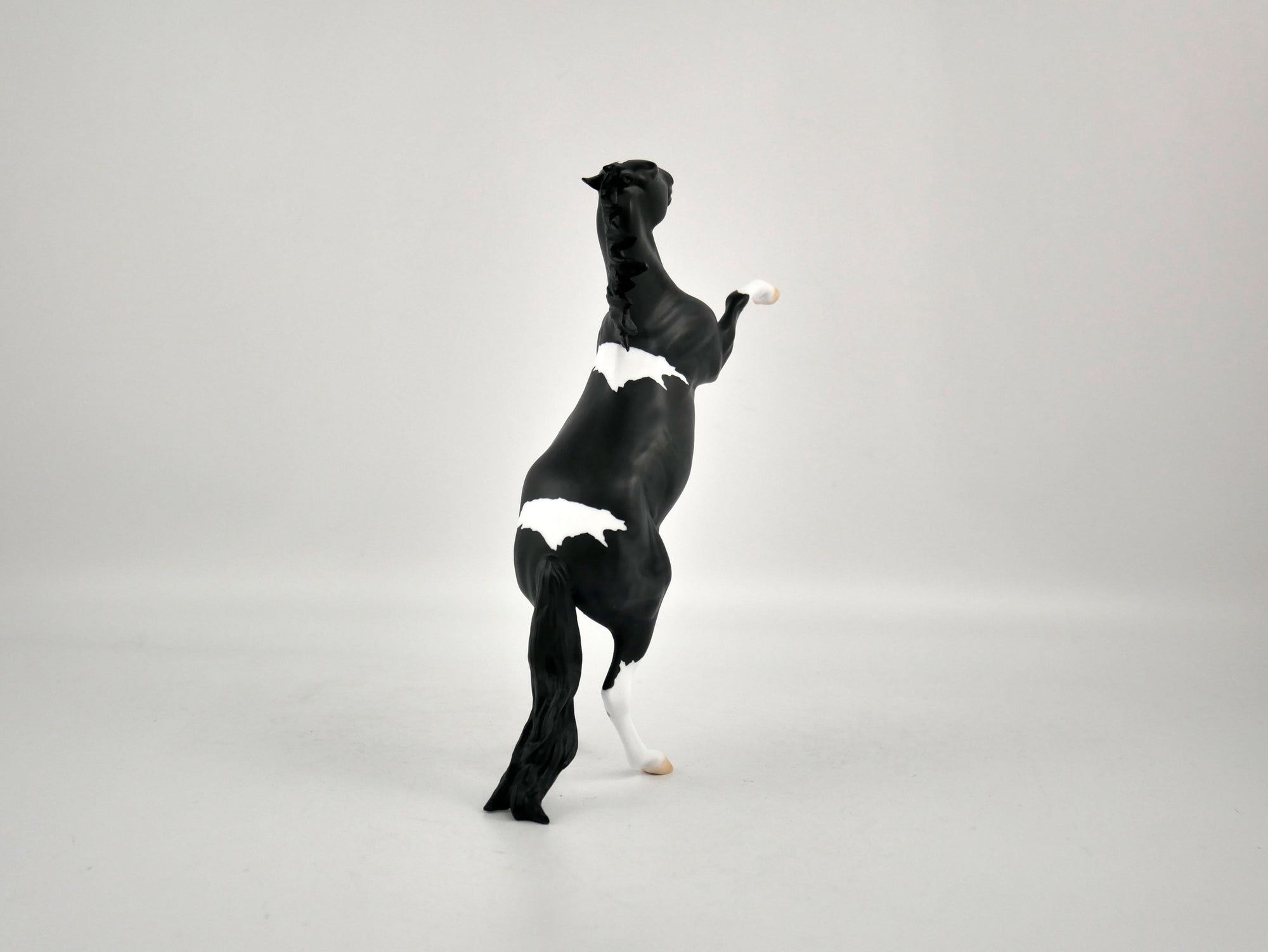 PENGUIN-OOAK BLACK TOBIANO  REARING PEBBLES BY ELLEN ROBBINS 12/09/20