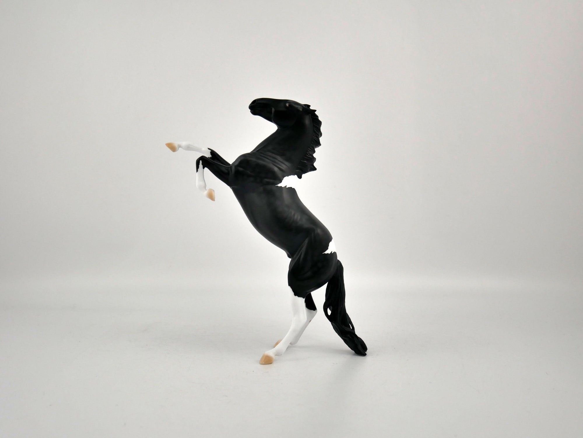 PENGUIN-OOAK BLACK TOBIANO  REARING PEBBLES BY ELLEN ROBBINS 12/09/20