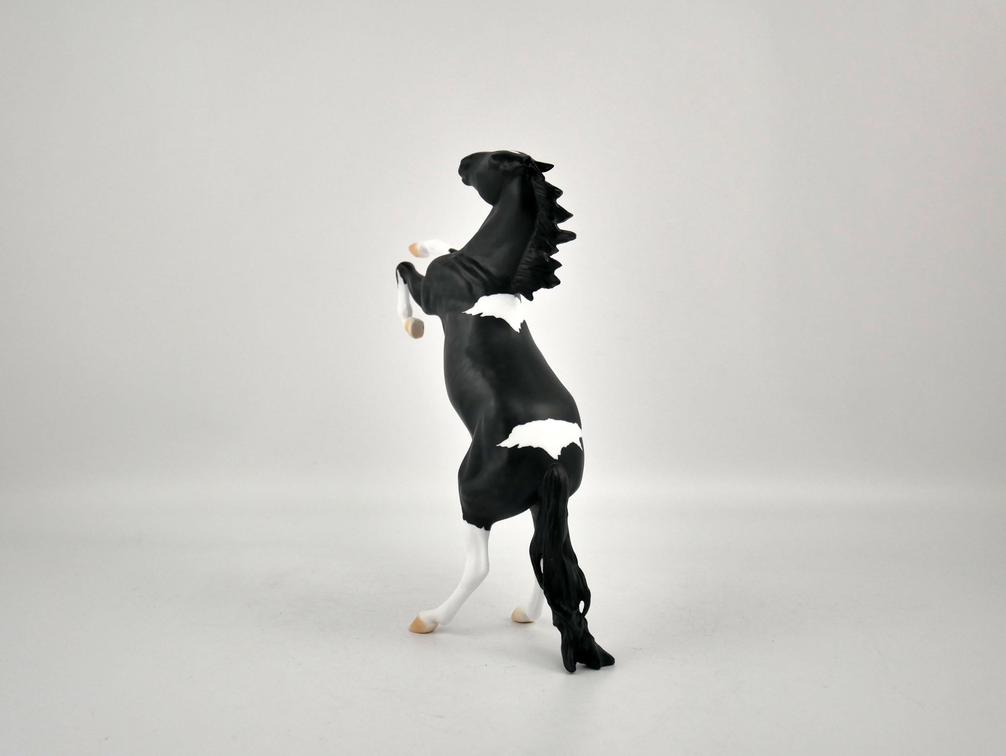 PENGUIN-OOAK BLACK TOBIANO  REARING PEBBLES BY ELLEN ROBBINS 12/09/20