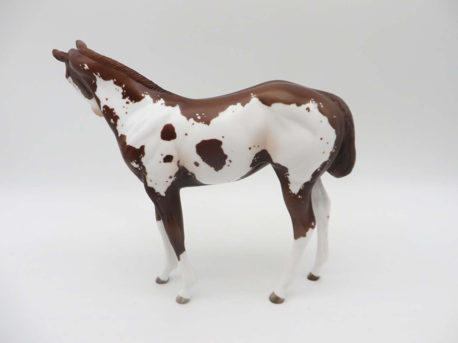 Pennisula -OOAK Chestnut Paint Weanling By Jess - SHCF23