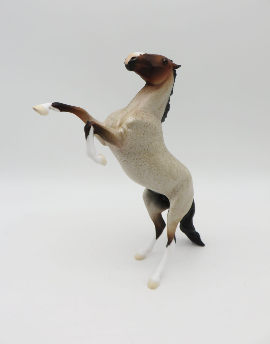 Pentu-OOAK Bay Roan Rearing Pebbles  P&C 23