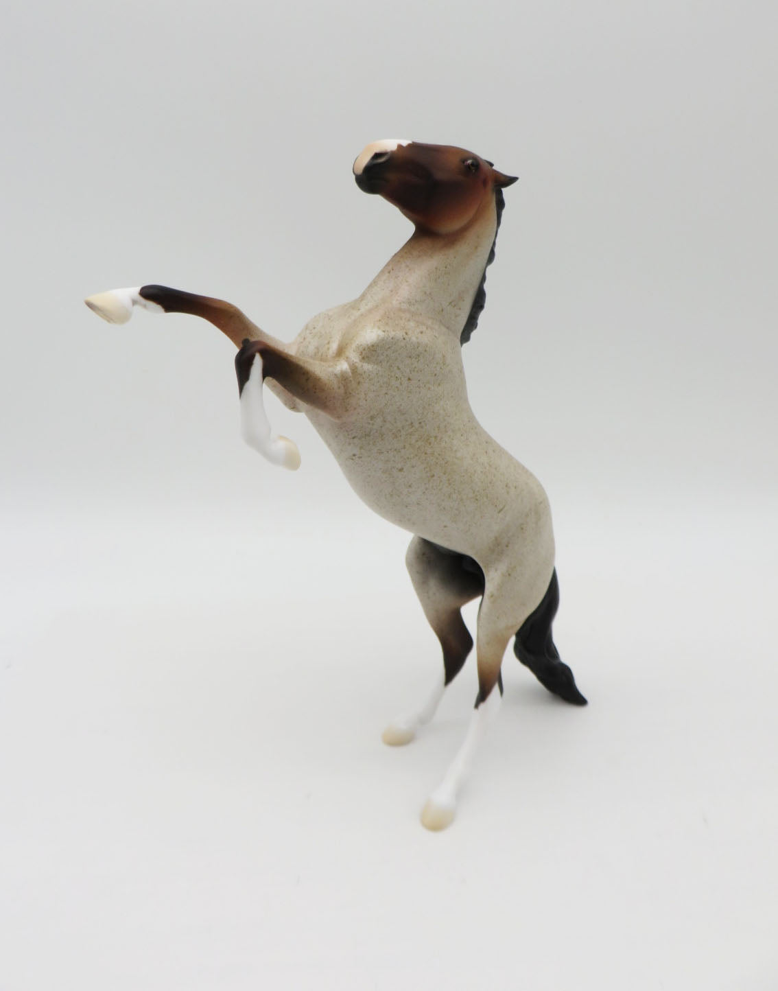 Pentu-OOAK Bay Roan Rearing Pebbles  P&amp;C 23