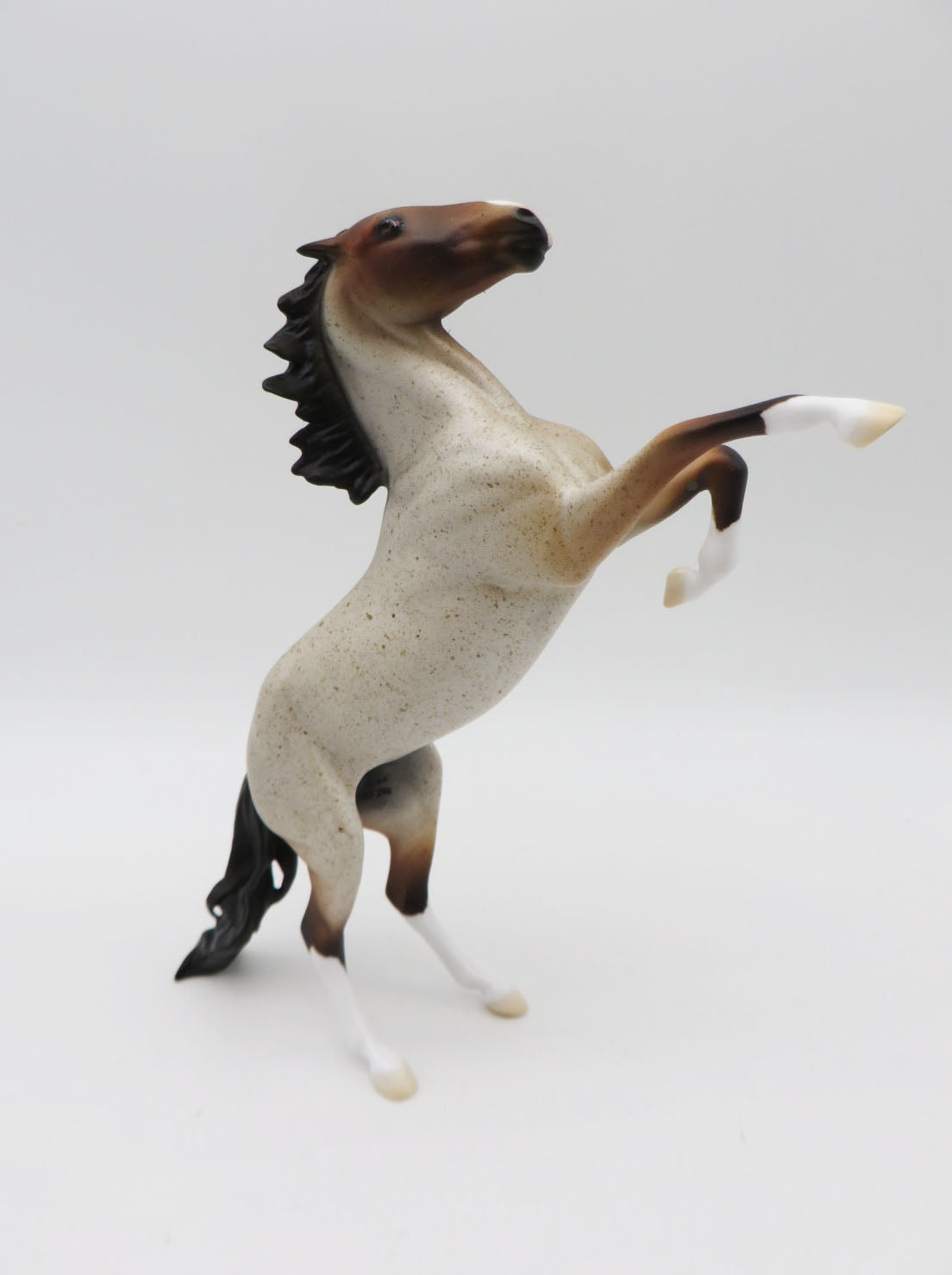 Pentu-OOAK Bay Roan Rearing Pebbles  P&amp;C 23