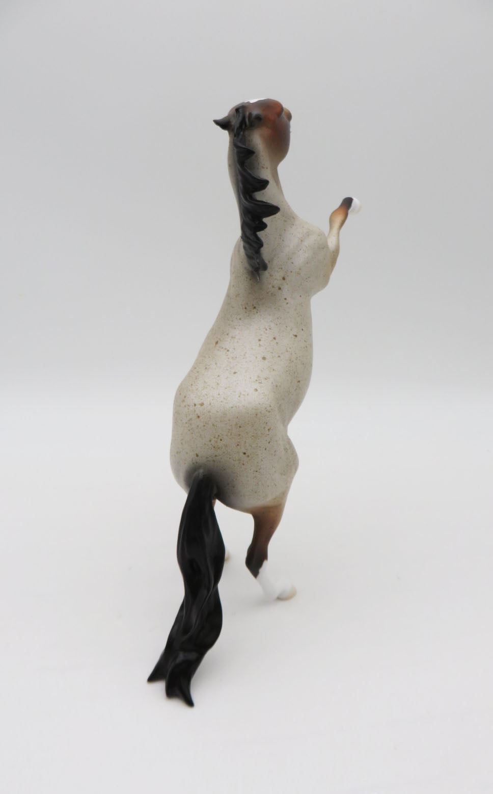 Pentu-OOAK Bay Roan Rearing Pebbles  P&amp;C 23