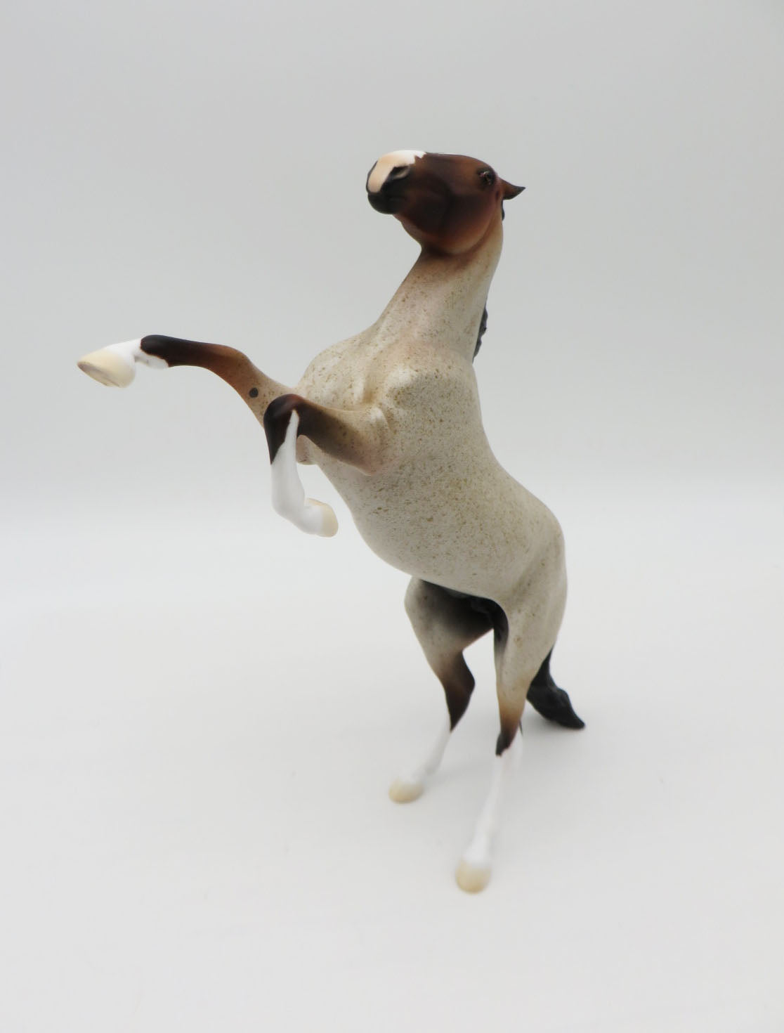 Pentu-OOAK Bay Roan Rearing Pebbles  P&amp;C 23