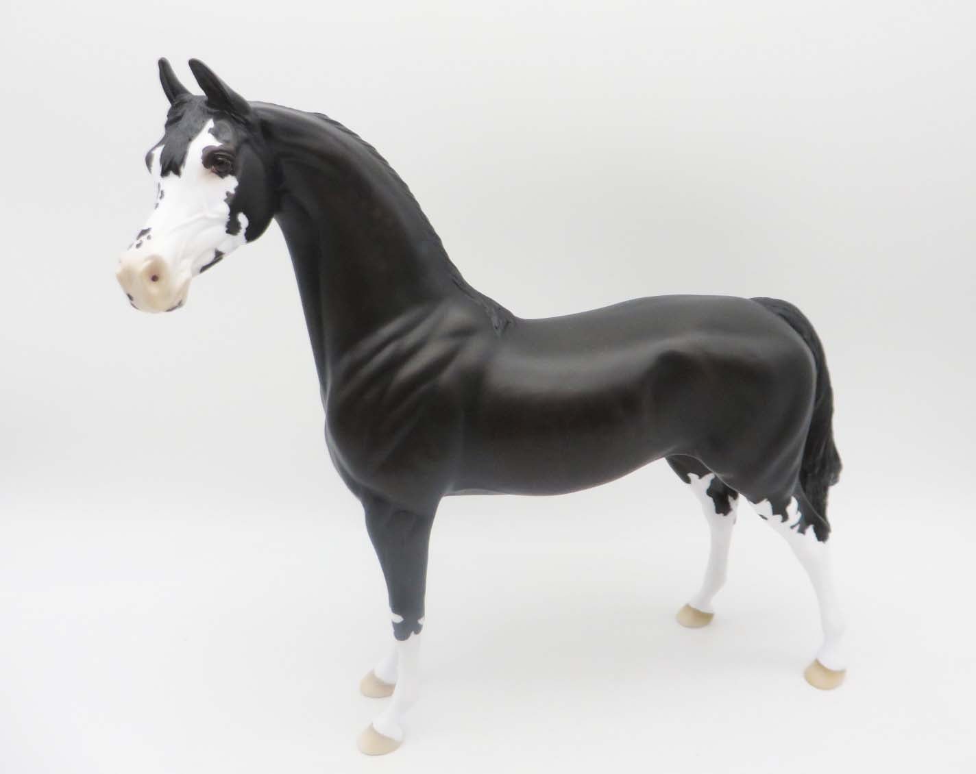 Wishbone - OOAK - Shaded Black Sabino with Cat Tracks Arabian By Ellen Robbins- P&C 23