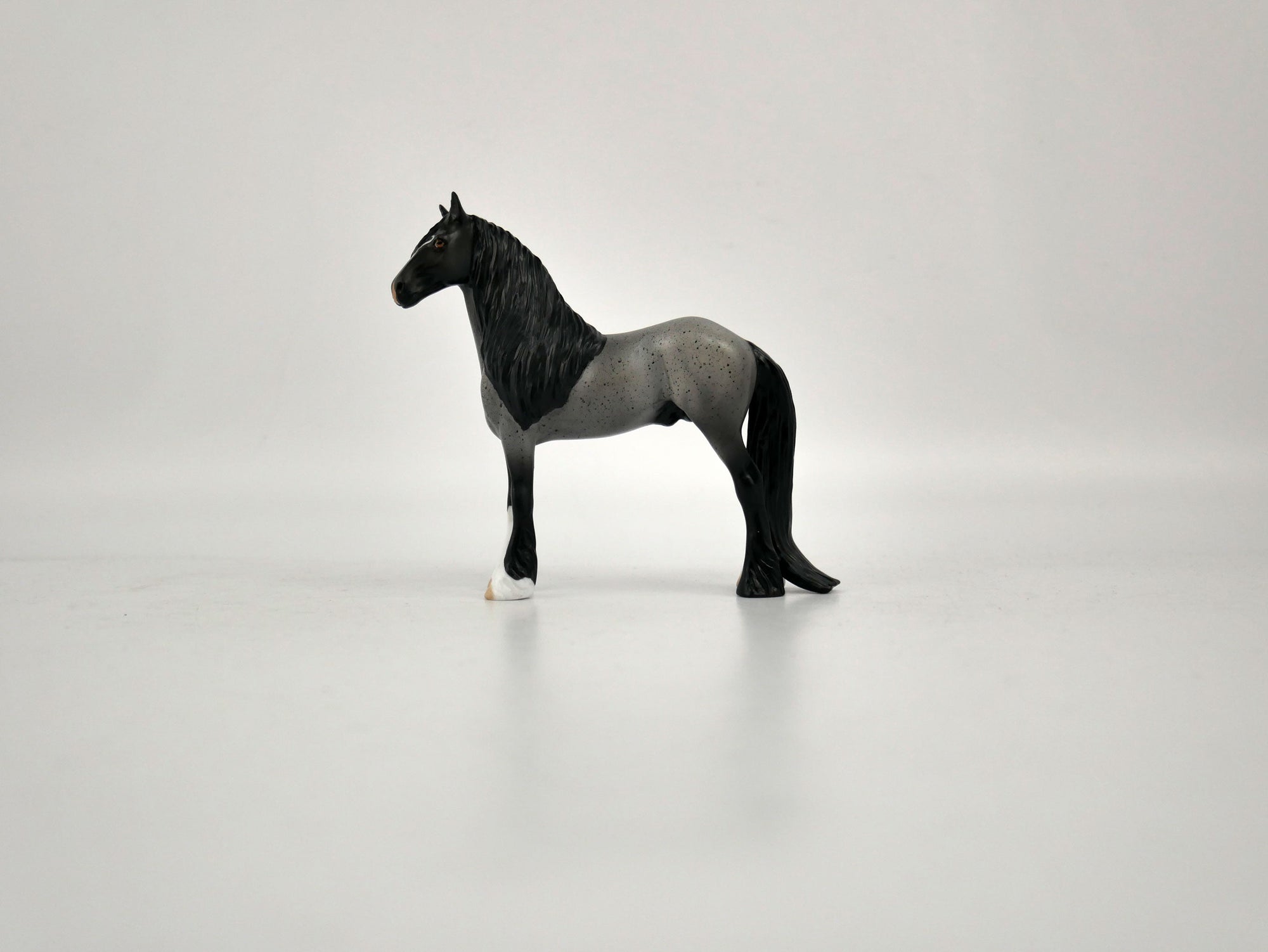 What is inside the Box> Pepper 12/20