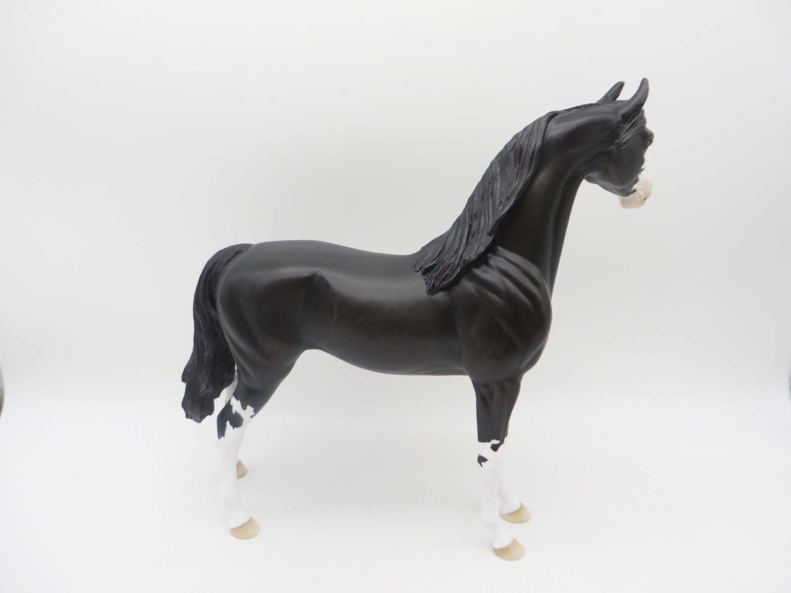 Wishbone - OOAK - Shaded Black Sabino with Cat Tracks Arabian By Ellen Robbins- P&amp;C 23