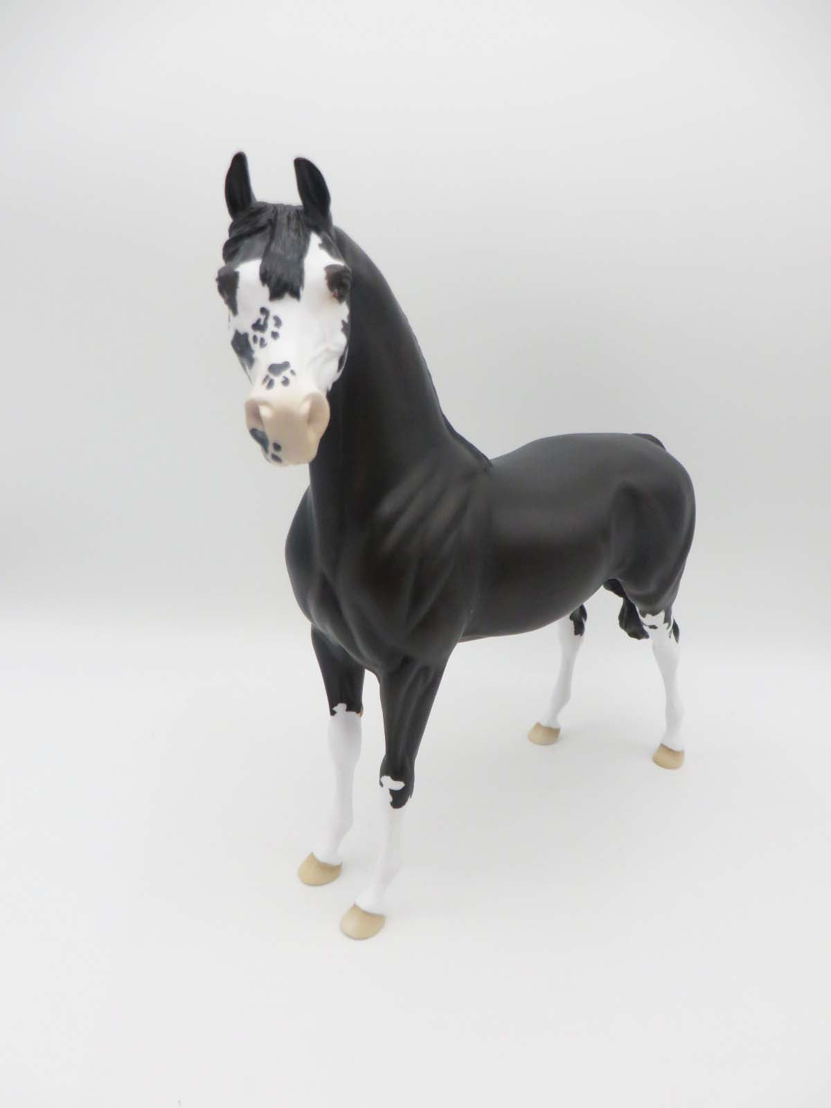 Wishbone - OOAK - Shaded Black Sabino with Cat Tracks Arabian By Ellen Robbins- P&amp;C 23