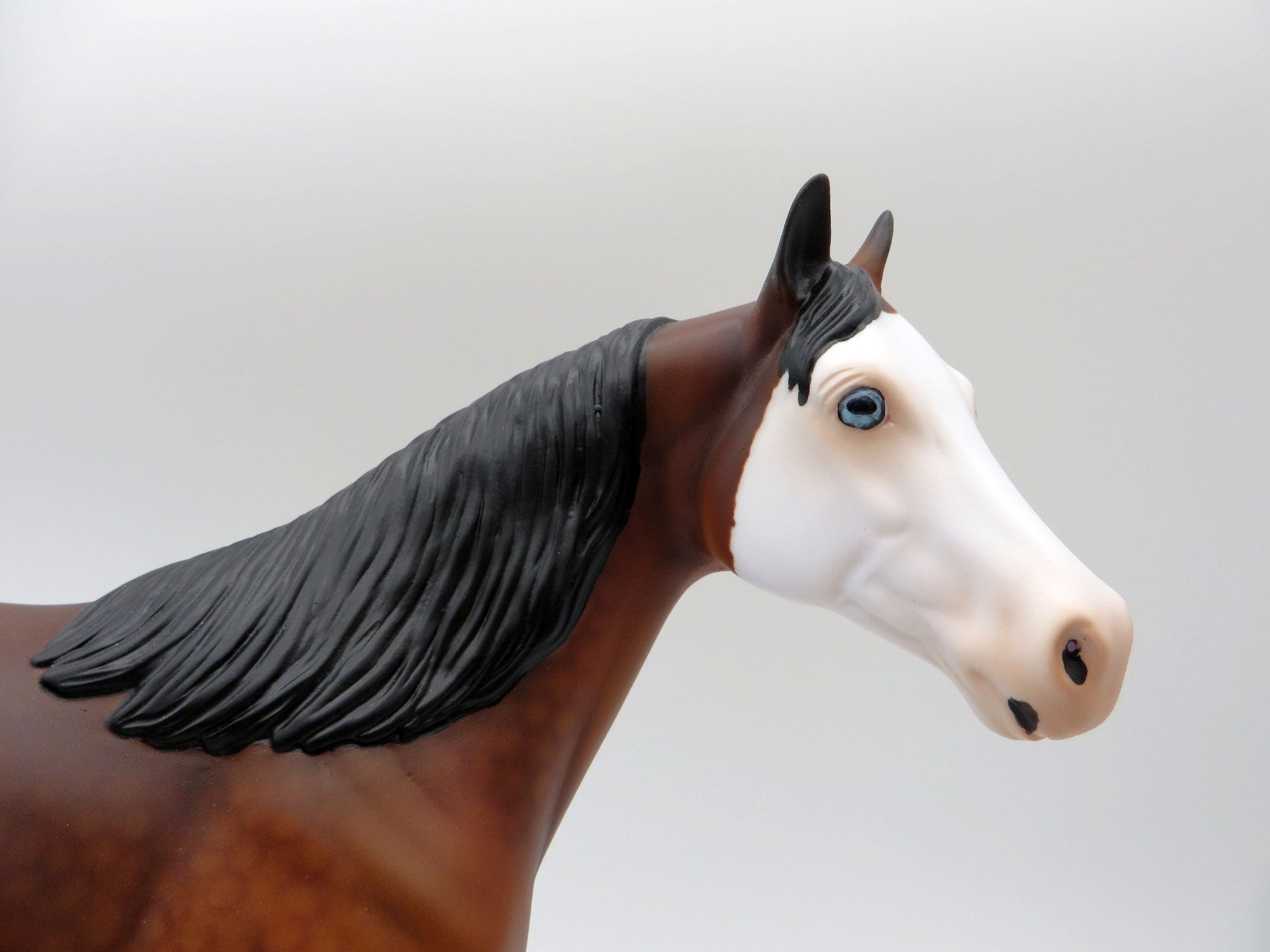 Pepper&#39;s Pride-OOAK ISH Paint Painted By Audrey Dixon   5/28/21