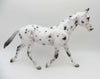 Perdita-OOAK Loud Appaloosa Palouse By Jess Hamill P&amp;C 23