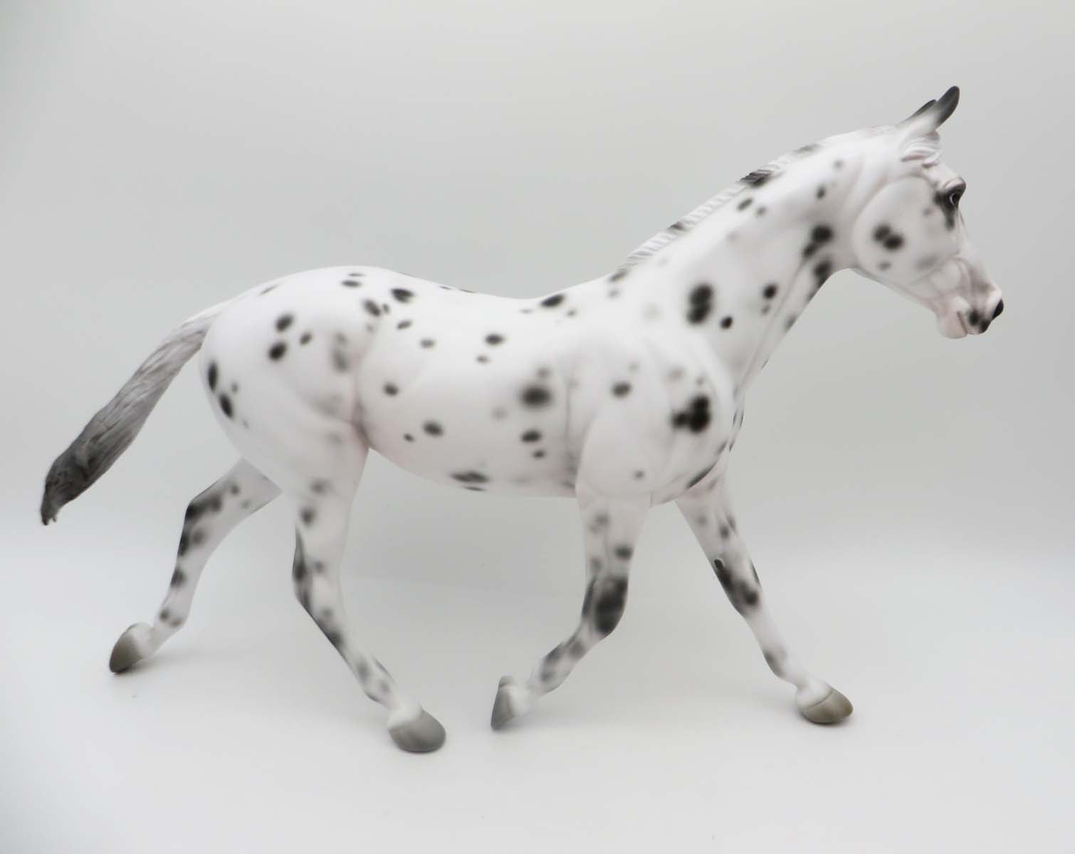 Perdita-OOAK Loud Appaloosa Palouse By Jess Hamill P&C 23