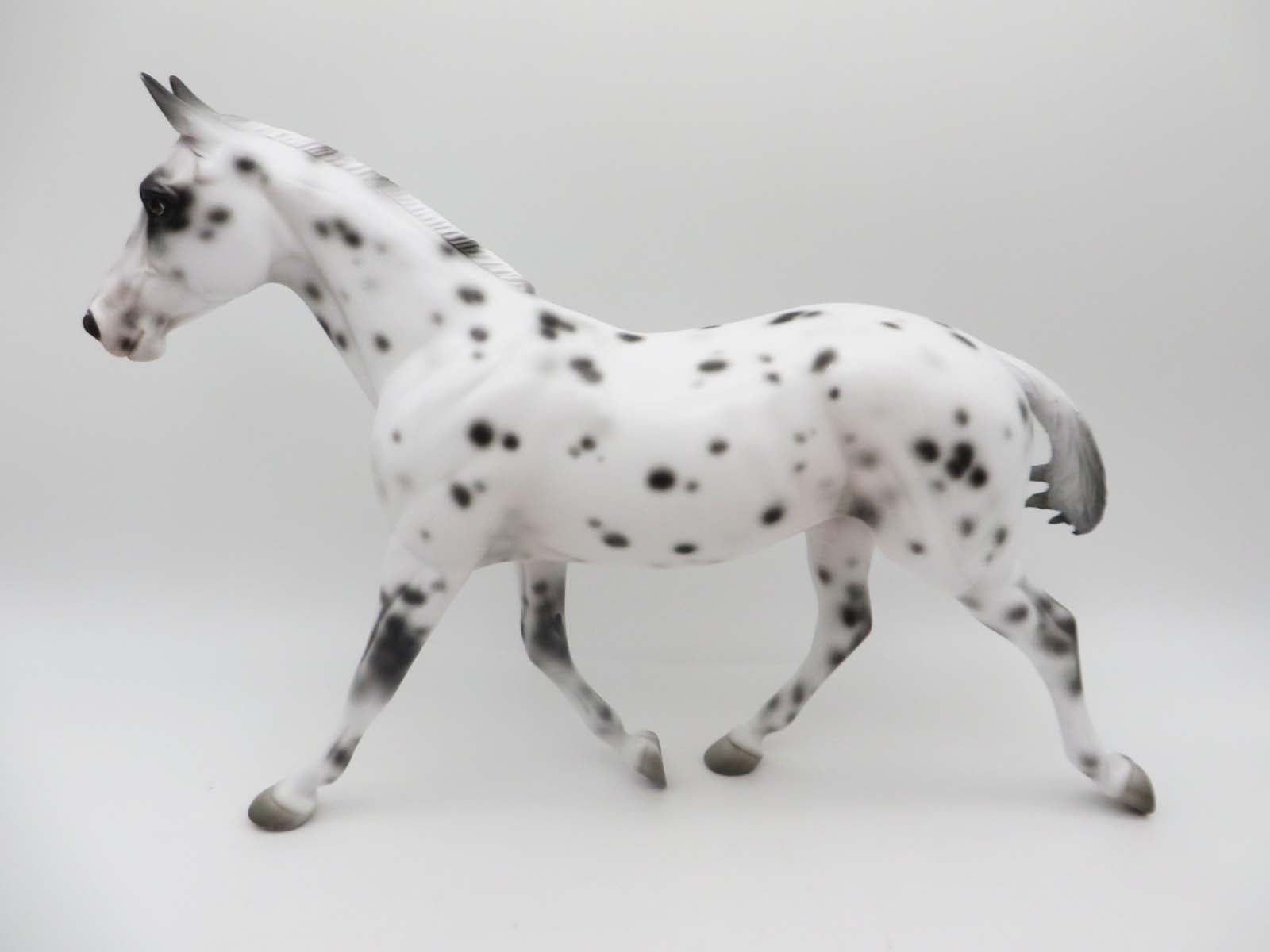 Perdita-OOAK Loud Appaloosa Palouse By Jess Hamill P&amp;C 23