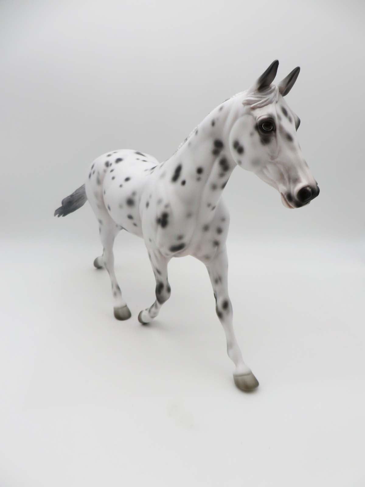 Perdita-OOAK Loud Appaloosa Palouse By Jess Hamill P&amp;C 23