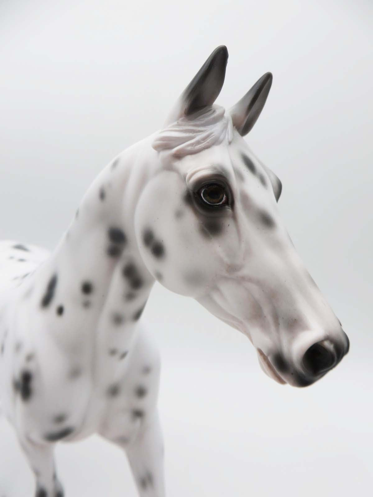 Perdita-OOAK Loud Appaloosa Palouse By Jess Hamill P&amp;C 23