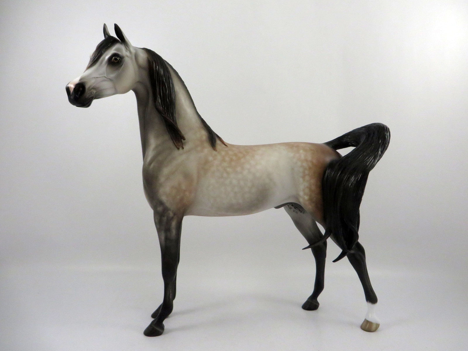 Perigee-OOAK Dapple Bay going Grey Arabian Painted by Sheryl Leisure 3/5/21