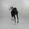 Perigee-OOAK Dapple Bay going Grey Arabian Painted by Sheryl Leisure 3/5/21
