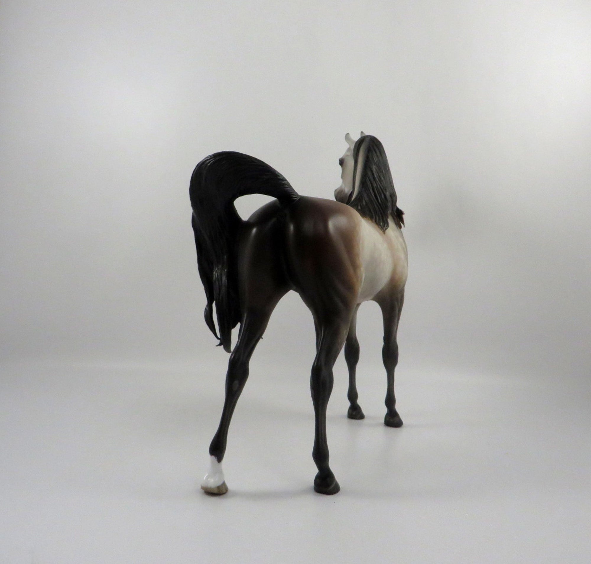 Perigee-OOAK Dapple Bay going Grey Arabian Painted by Sheryl Leisure 3/5/21