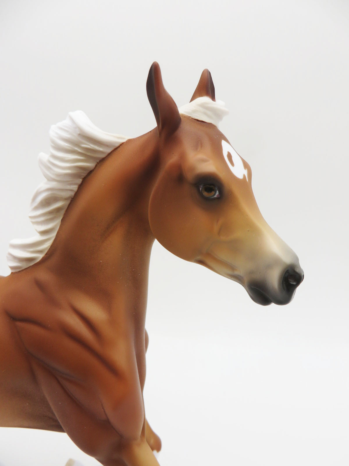 Sample of Peter Pan -  Chestnut Yearling By Jess Hamill CL22