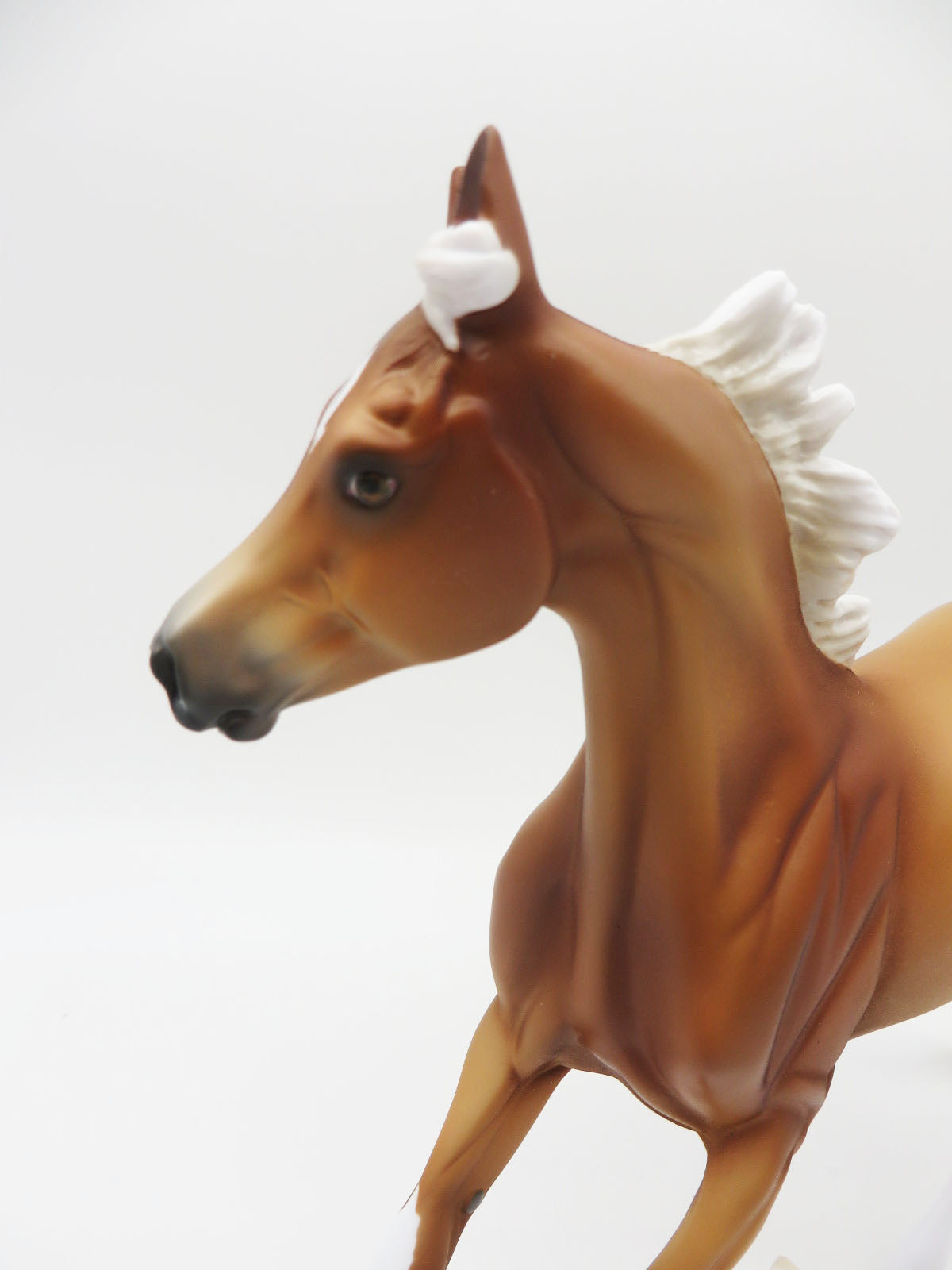 Sample of Peter Pan -  Chestnut Yearling By Jess Hamill CL22