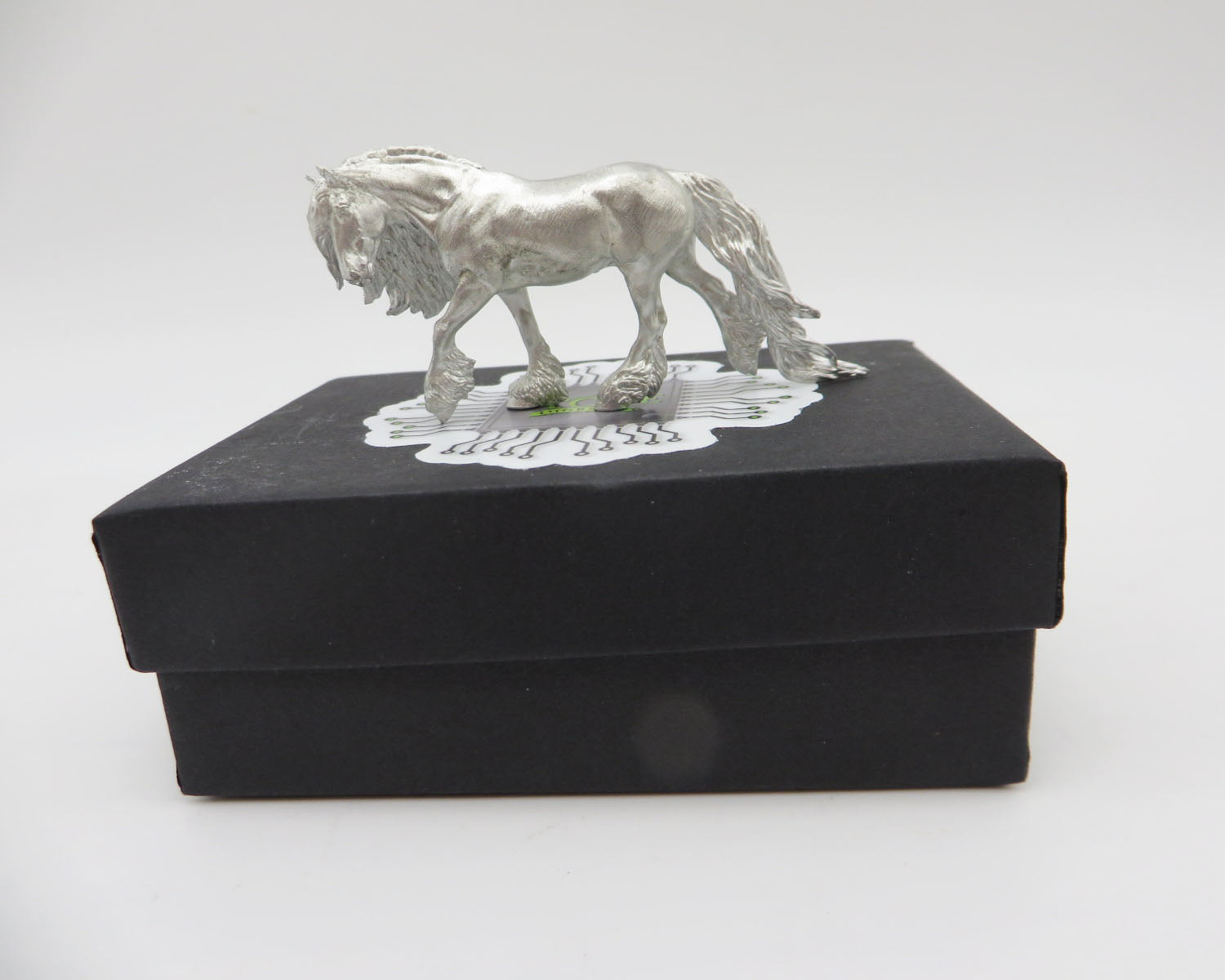 Microchip - Irish Cobb - Finn - 2022