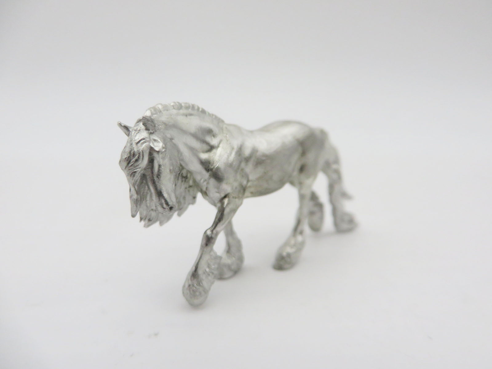 Microchip - Irish Cobb - Finn - 2022